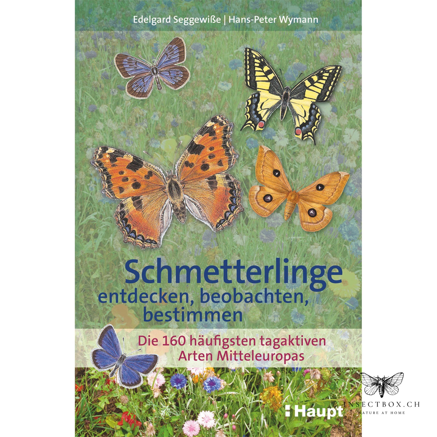 Schmetterlinge entdecken, beobachten, bestimmen