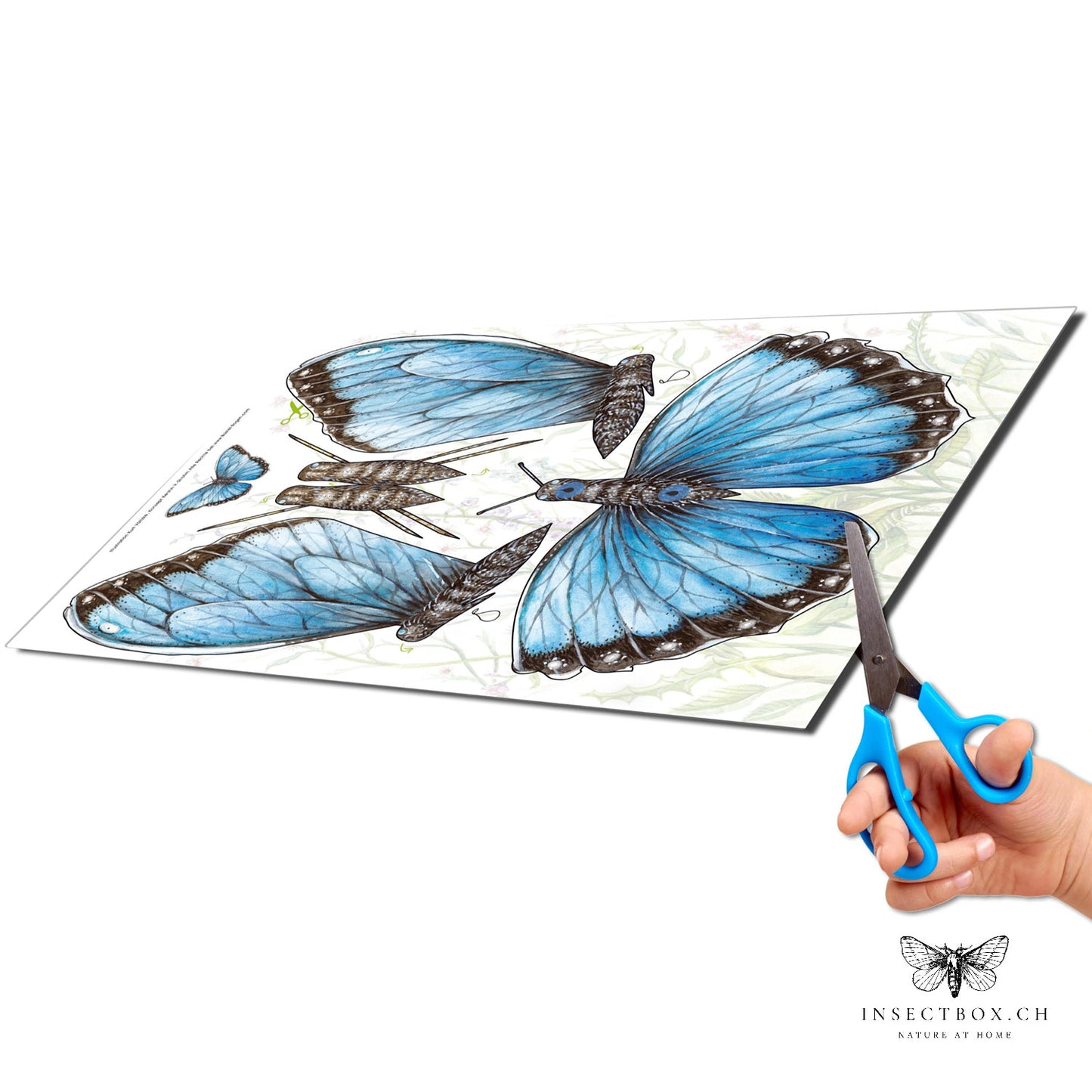 Butterflies craft sheet 7 large butterflies for crafting and hanging made of paper (currently not available)