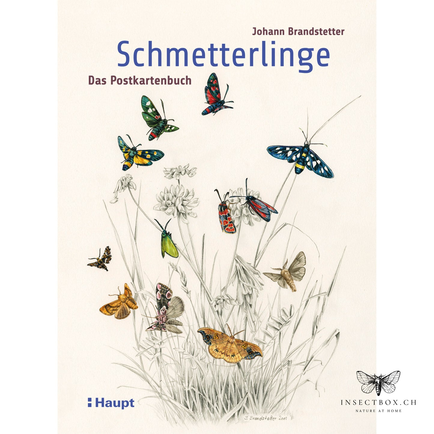 Schmetterlinge - Das Postkartenbuch